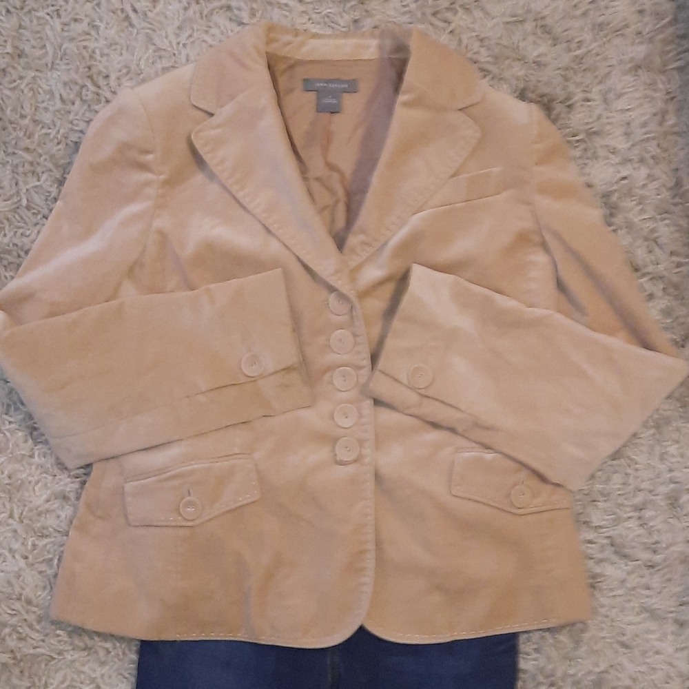 Ann Taylor Beautiful Brushed "velvet" Blazer 6